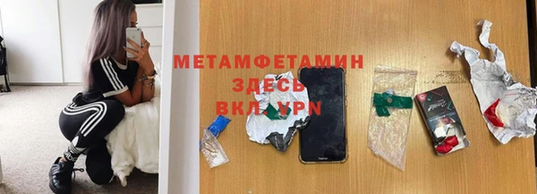 стаф Болотное