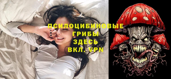 гидропоника Новозыбков