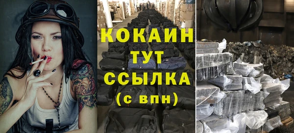 гидропоника Новозыбков