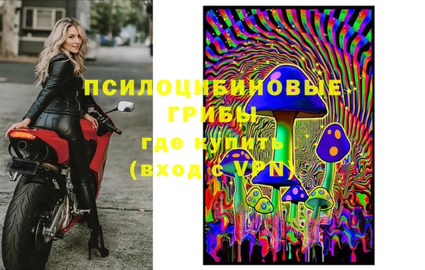 apvp Новодвинск