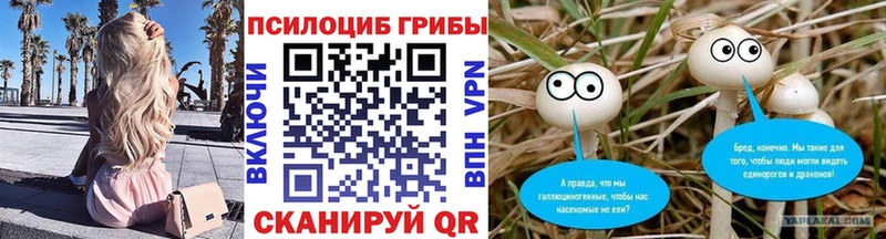 где купить наркоту Каргополь Псилоцибиновые грибы GOLDEN TEACHER